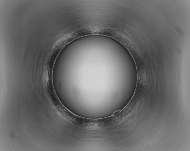 X0000113000740200908271347