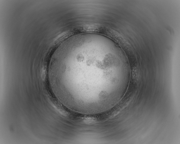X0000113000741200908271347