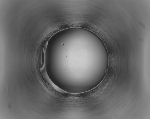 X0000113000742200908271347