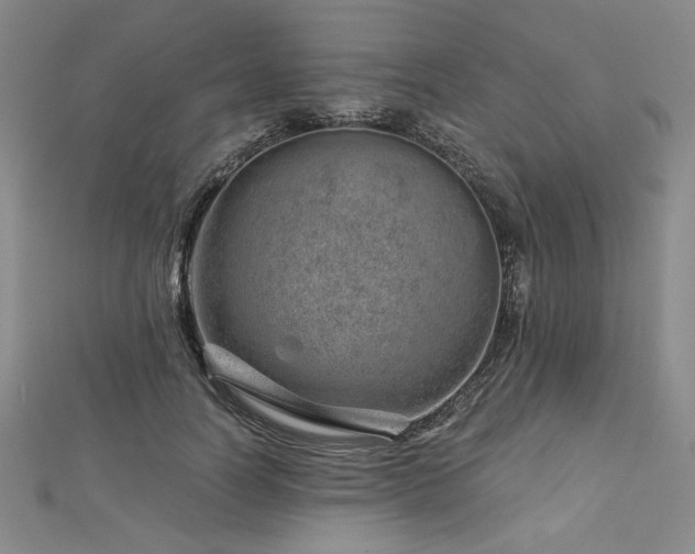 X0000113000746200908271347