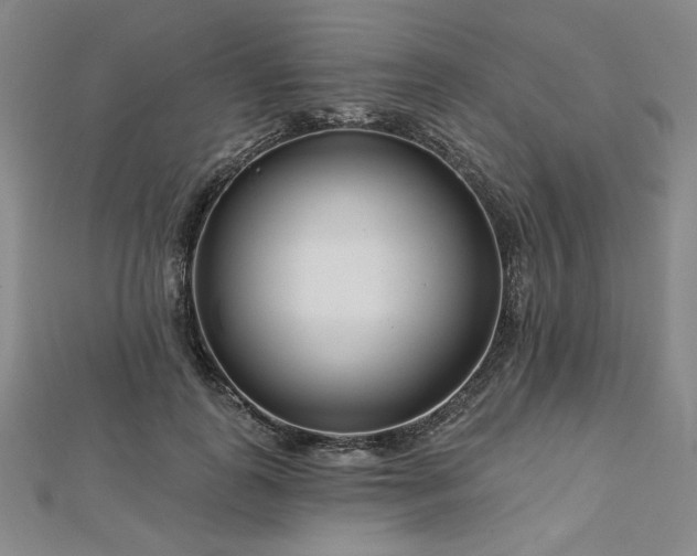 X0000113000747200908271347