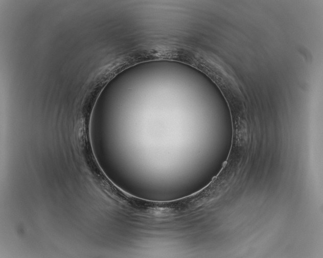 X0000113000748200908271347