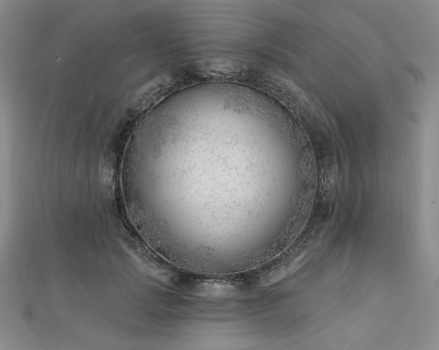 X0000113000749200908271347