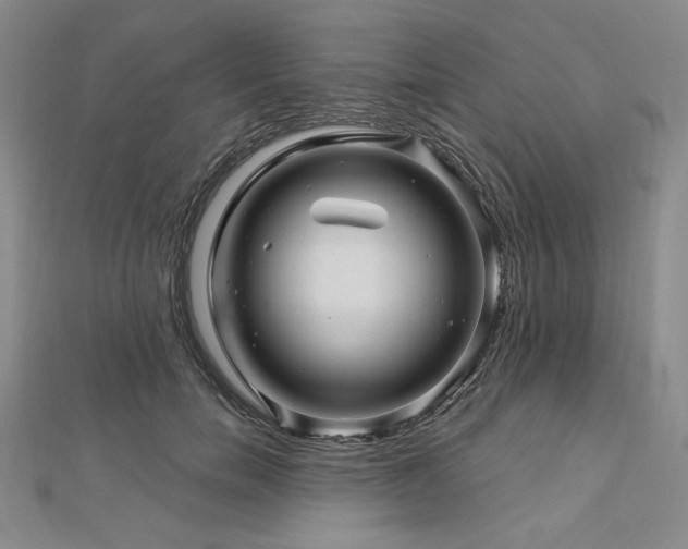 X0000113000750200908271347