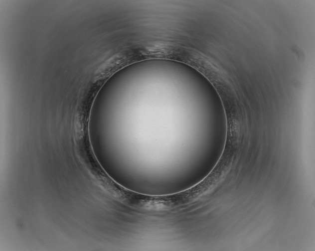 X0000113000751200908271347