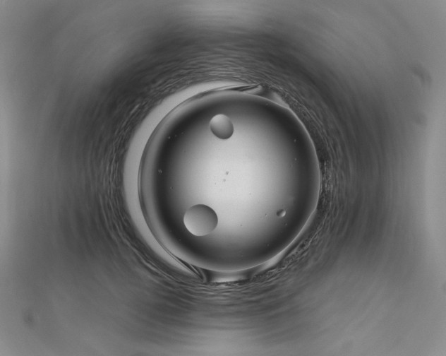 X0000113000752200908271347