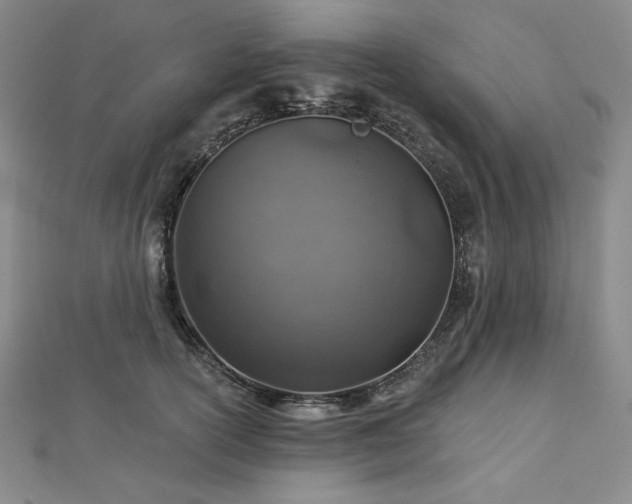 X0000113000754200908271347