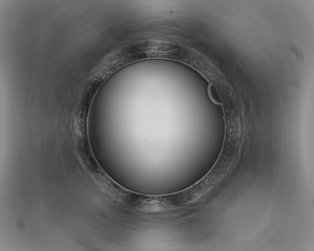 X0000113000755200908271347