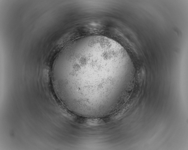 X0000113000757200908271347
