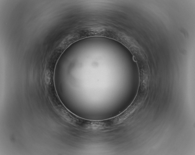 X0000113000758200908271347