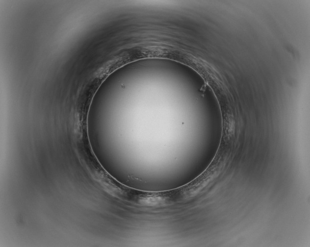X0000113000759200908271347