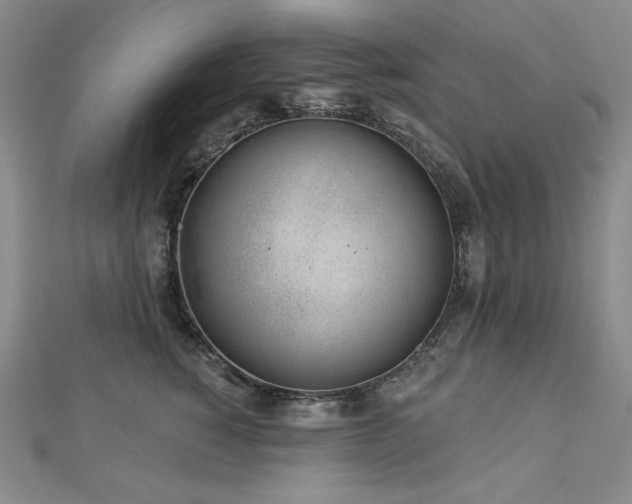 X0000113000760200908271347
