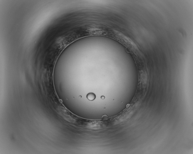 X0000113000761200908271347