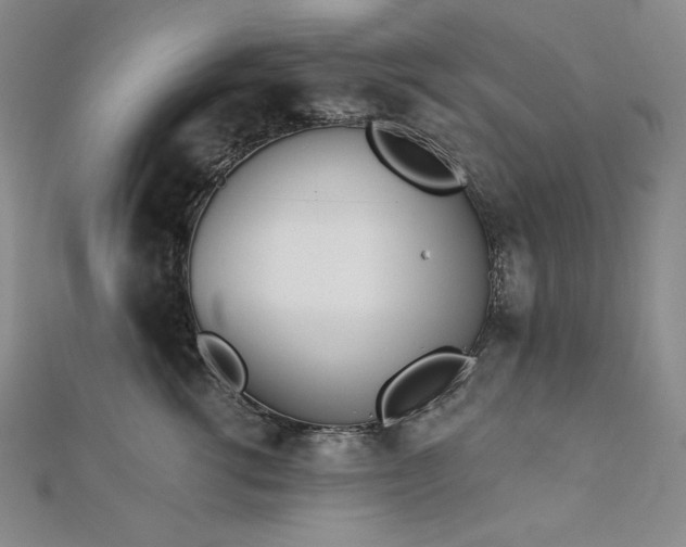 X0000113000762200908271347