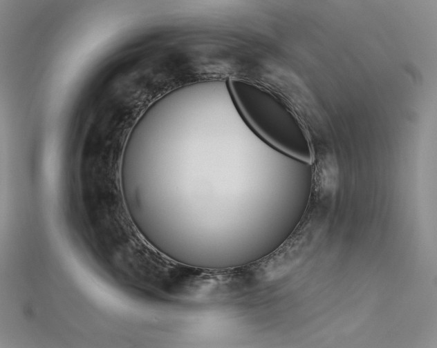 X0000113000764200908271347