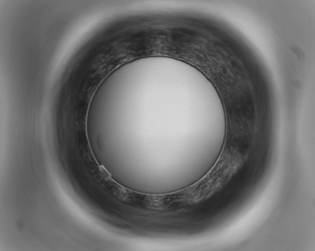 X0000113000766200908271347