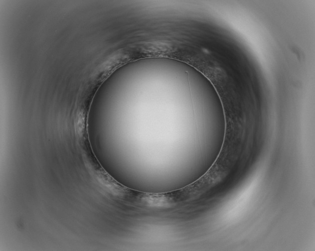 X0000113000767200908271347