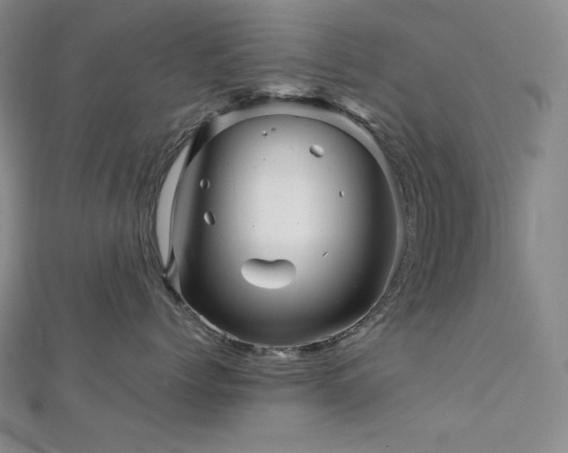 X0000113000768200908271347