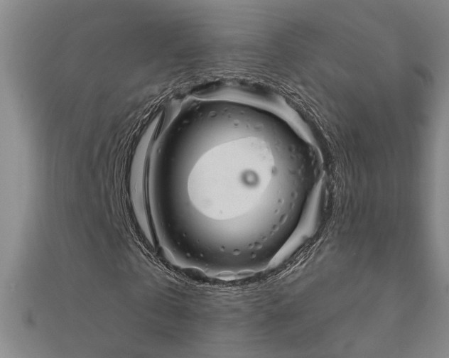 X0000113000769200908271347