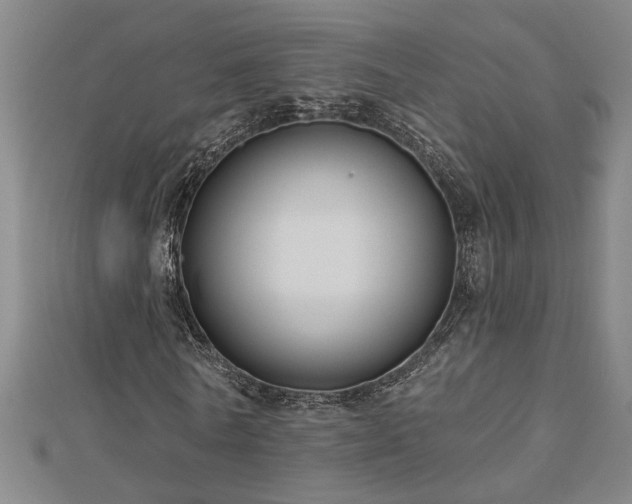 X0000113000770200908271347