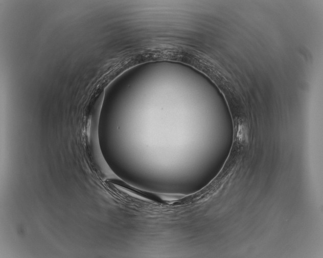 X0000113000771200908271347