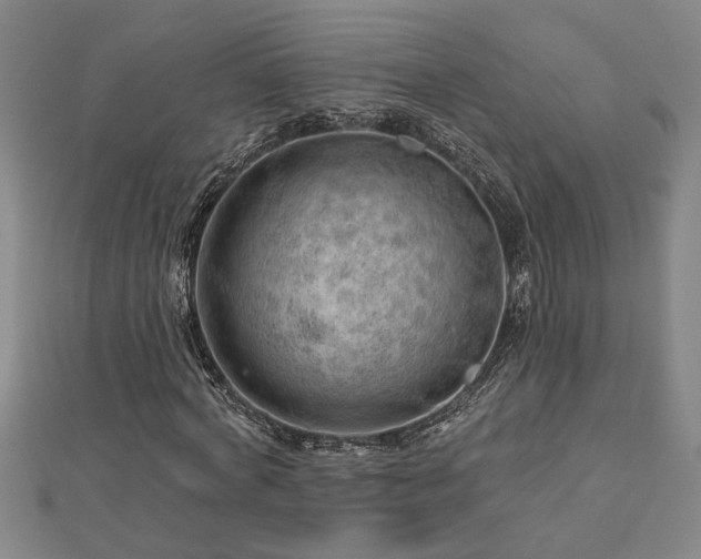 X0000113000772200908271347