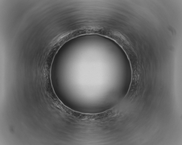 X0000113000773200908271347
