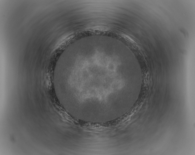 X0000113000774200908271346