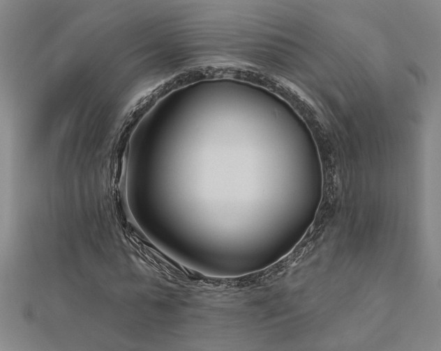 X0000113000775200908271346