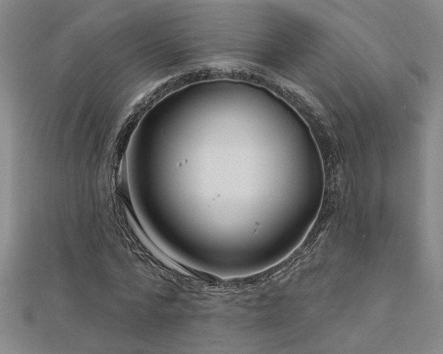 X0000113000776200908271346