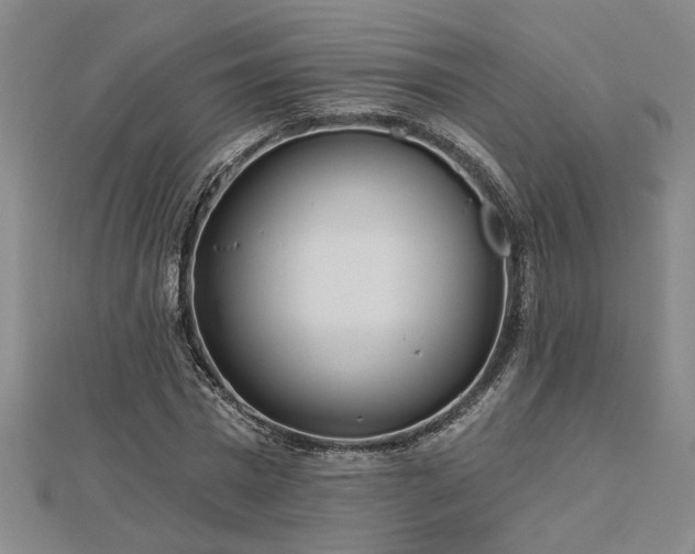 X0000113000777200908271346