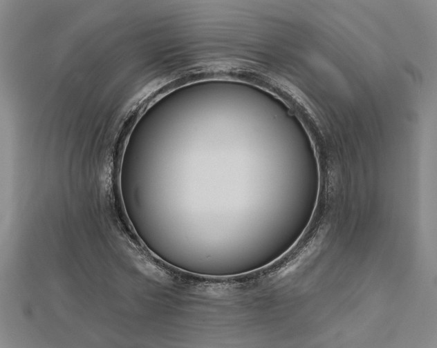 X0000113000778200908271346
