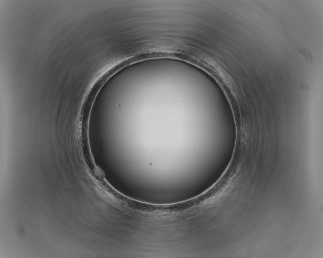 X0000113000779200908271346