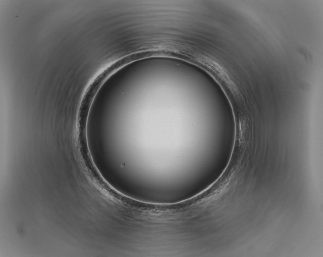 X0000113000780200908271346