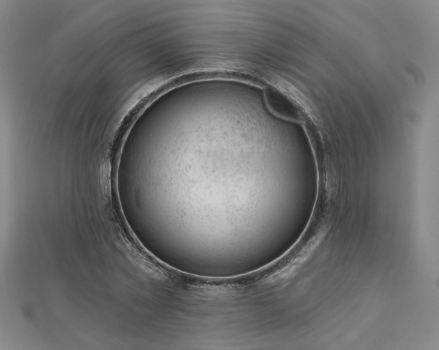 X0000113000781200908271346