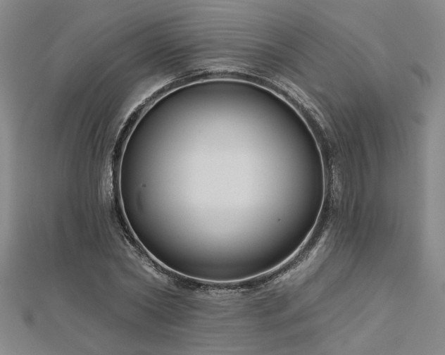 X0000113000782200908271346
