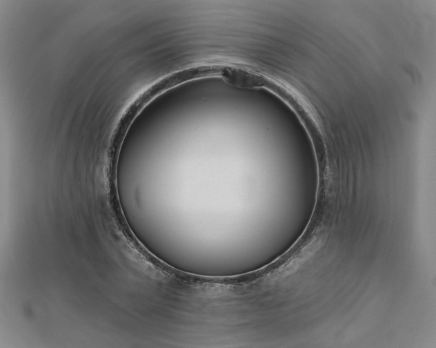 X0000113000783200908271346