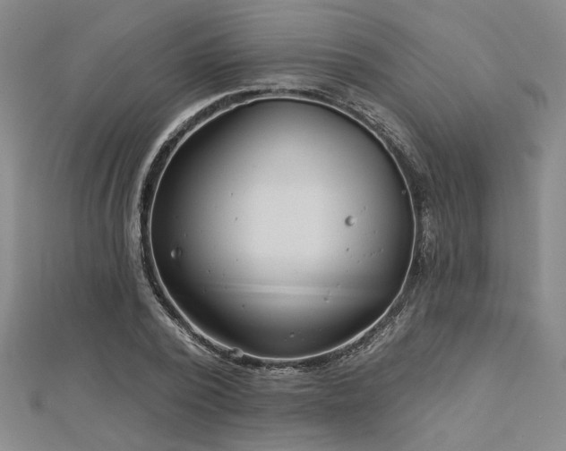 X0000113000784200908271346