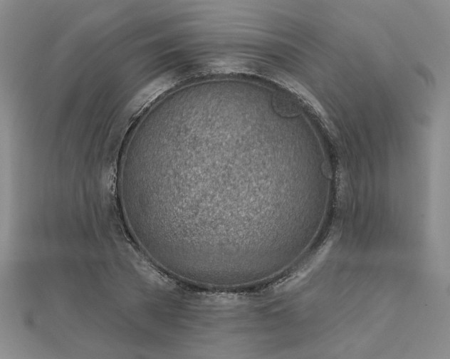 X0000113000785200908271346