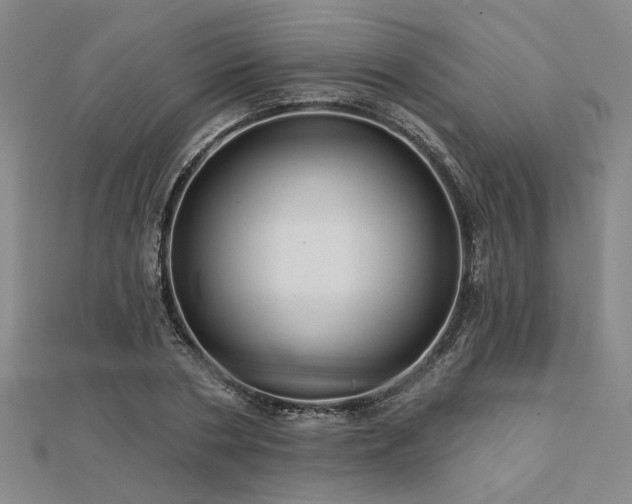 X0000113000786200908271346