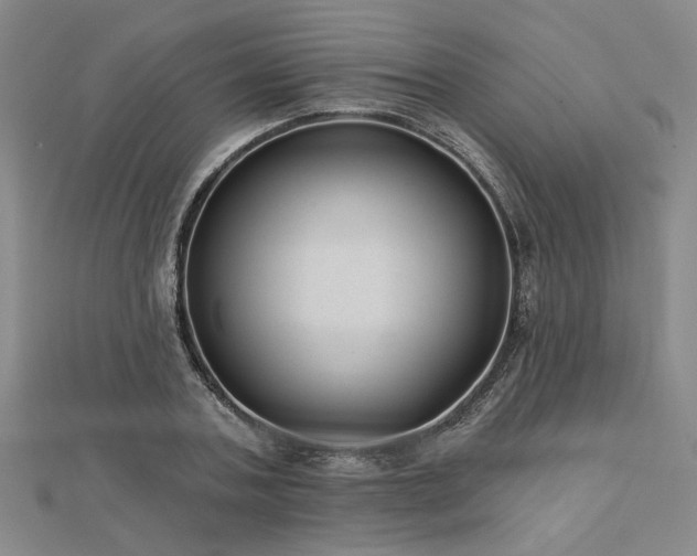 X0000113000787200908271346