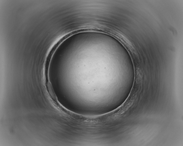 X0000113000788200908271346