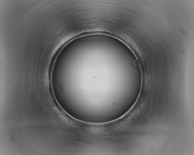 X0000113000789200908271346