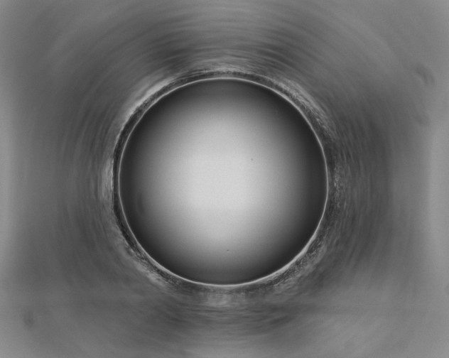 X0000113000790200908271346
