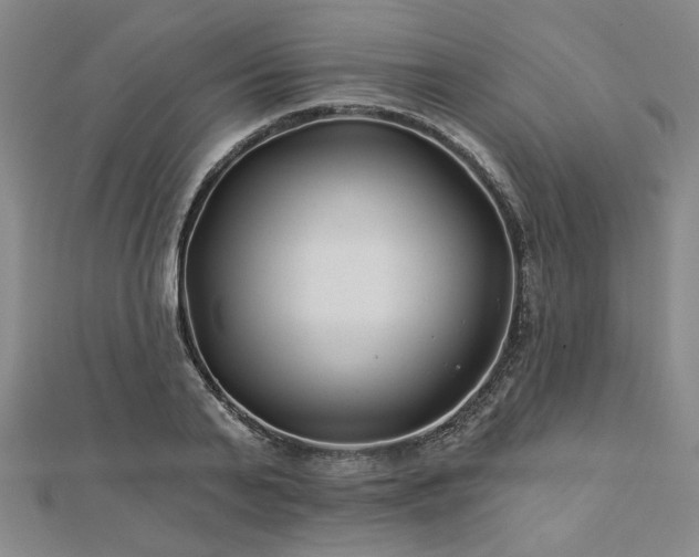 X0000113000791200908271346