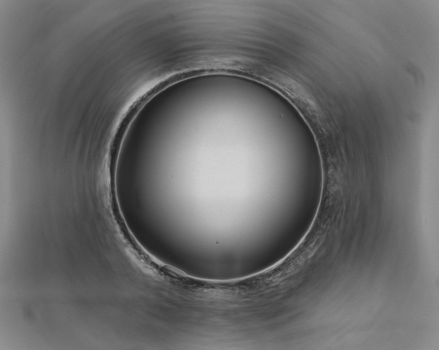 X0000113000792200908271346