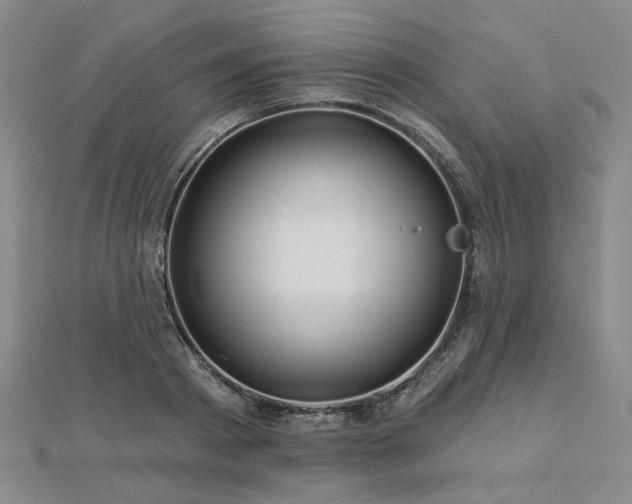 X0000113000793200908271346