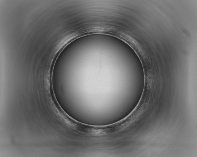 X0000113000794200908271346