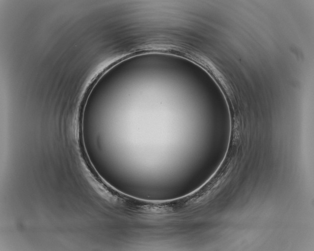 X0000113000795200908271346