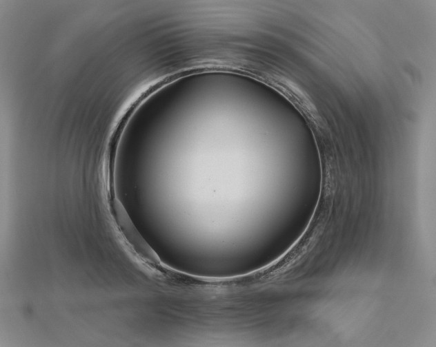 X0000113000796200908271346